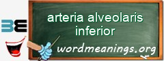 WordMeaning blackboard for arteria alveolaris inferior